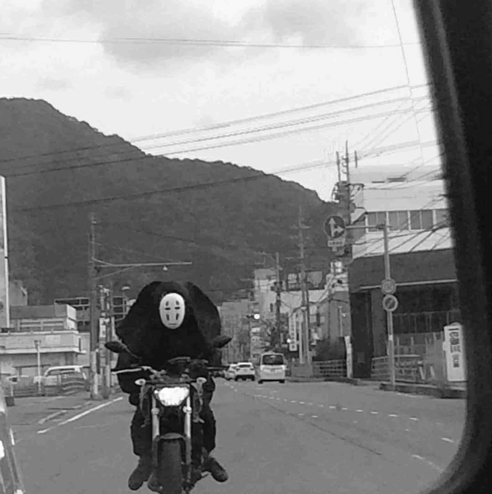 Meet your Posher, Lynnie